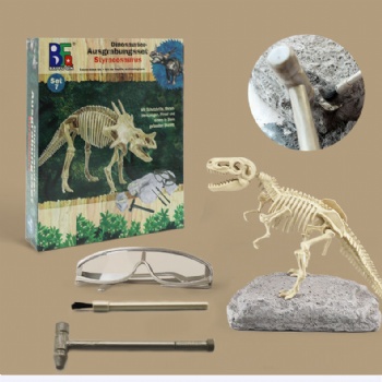 Baby toy Dinosaur fossils